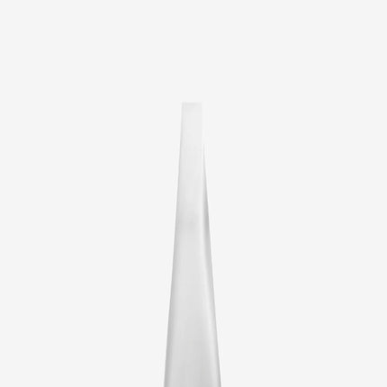 Eyebrow tweezers Staleks Pro Expert 10 Type 2 TE-10/2 - Eyebrow tweezers