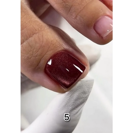 Gel polish Wine Cat №5 10 ml Saga Professional - Gel Nail Polish