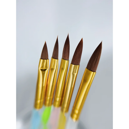Nail brushes for Acrylic with transparent handle (set 5psc) - Nail Art Brushes